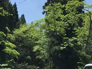 �N�}����񂳂�̔鋫�E�[�̗��k�������̓��e�ʐ^1