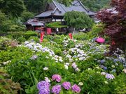 ��������̖{�����̓��e�ʐ^1