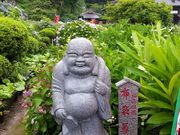 ��������̖{�����̓��e�ʐ^2