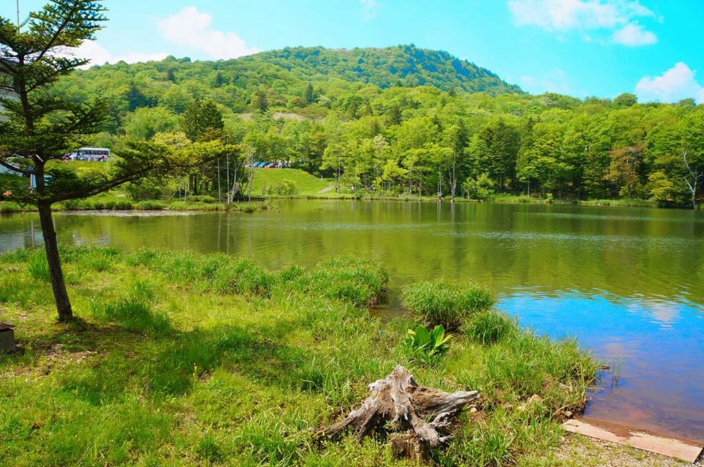 愛知 夏におすすめの観光スポット17選 涼しい渓谷やひまわり畑など じゃらんニュース