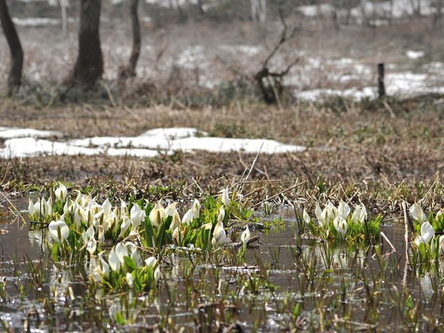 �c��Ɛ��m��_���̌�����