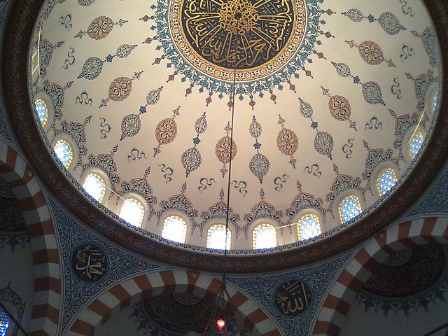 CẌ̑傳qVqVƁEEEE_W[~BEgRZ^[