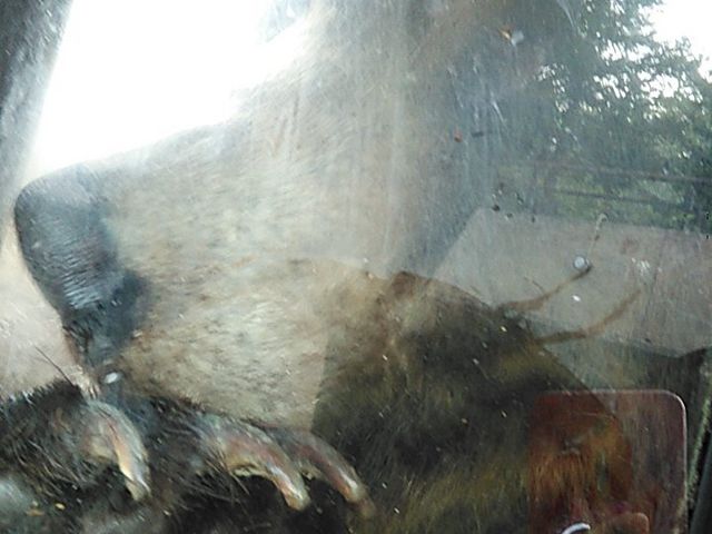 ���͖��_!_���R������