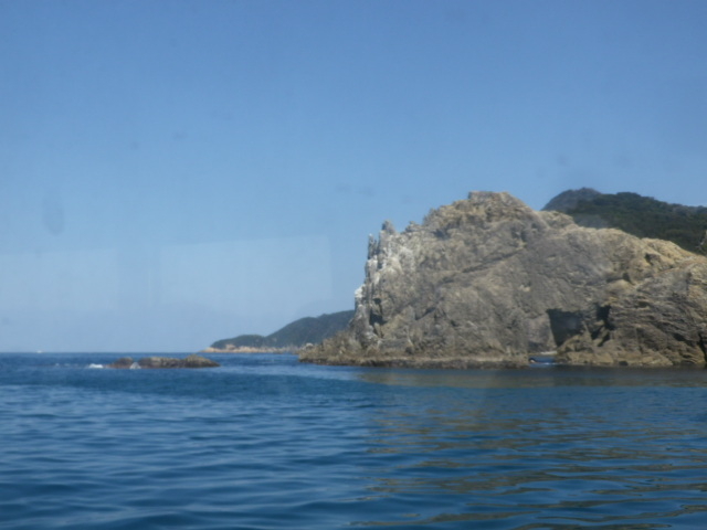 �V���D����_�C���N���[�Y