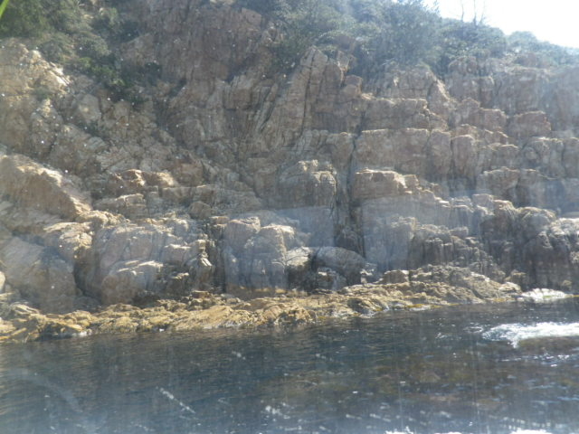 �V���D����_�C���N���[�Y