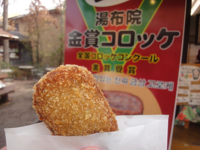 pl̓z@܃RbP QX̓eʐ^1