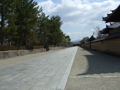 �@�����̎ʐ^1