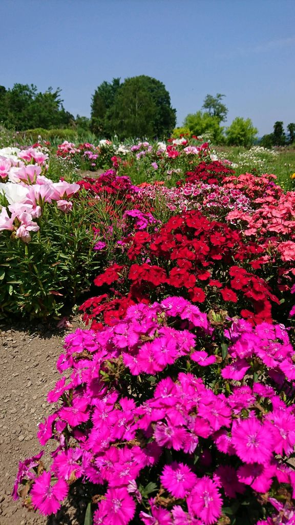 安中市の動物園 植物園ランキングtop7 じゃらんnet