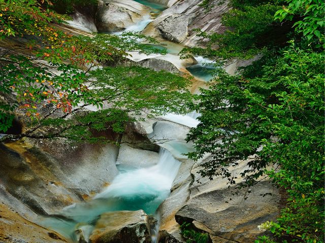 �������ł��B_���͓��k�J