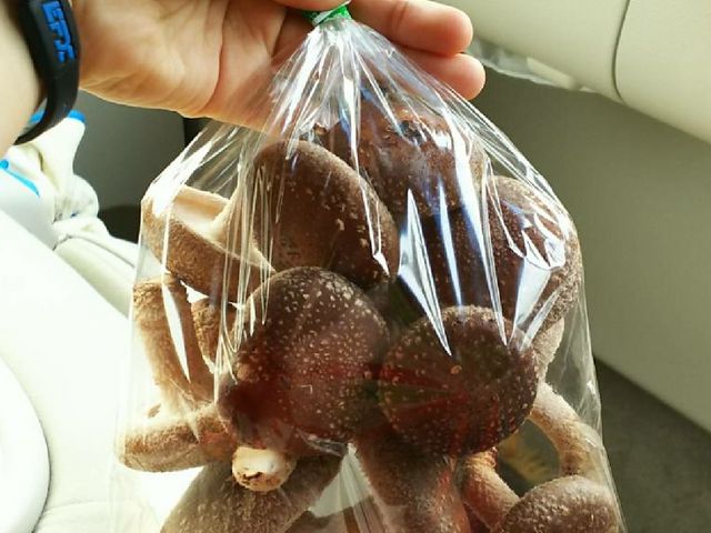 310��_���q���̂���