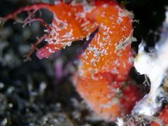 ܂񂳂̔MC}X|[cNuւ̓eʐ^1