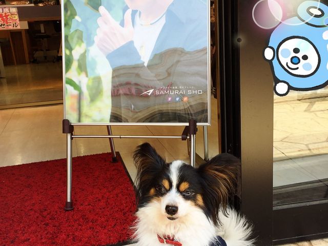 ���J�ł��B12�΃I�X�B �����ꏏ�ɏh���Ȃ�ŁA�A�E�g���b�g������s���Ă܂���B�����ĂƋL�O�B�e�B_�ߐ{�K�[�f���A�E�g���b�g