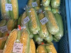 ���̉w �썑�i���Ǘ��j�̎ʐ^4