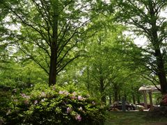 ΂Sport & Do Resort \̐Xւ̓eʐ^1