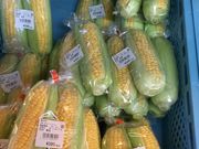 낳̓̉w 썑iǗj̓eʐ^4