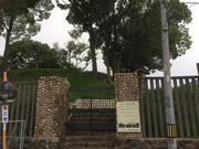 panchan̒ˎRÕ̓eʐ^1