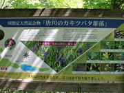 ̂̂񂳂̓̃JLco^Q̓eʐ^1