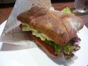 g\FERMiNTXOitF~`j̓eʐ^1