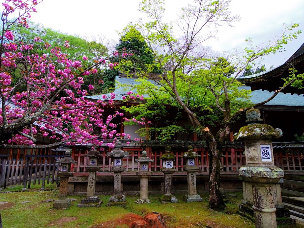 奈良市の神社 神宮 寺院ランキングtop10 じゃらんnet