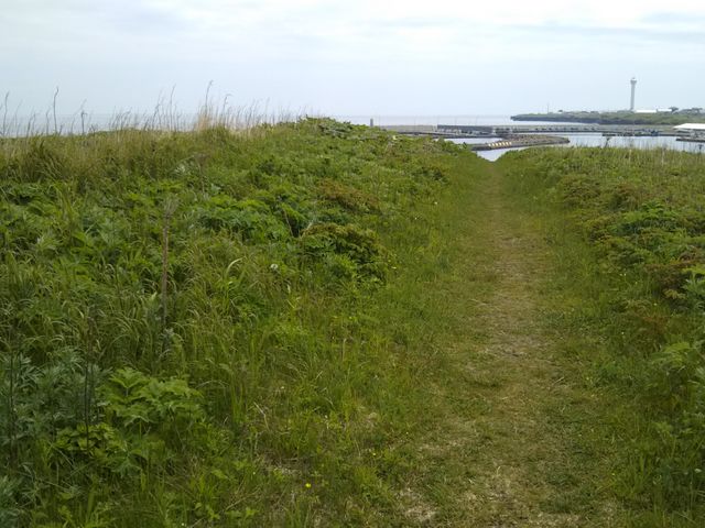 �������H����킫���ɂ��ꂽ��B_�����l���g�`���V��