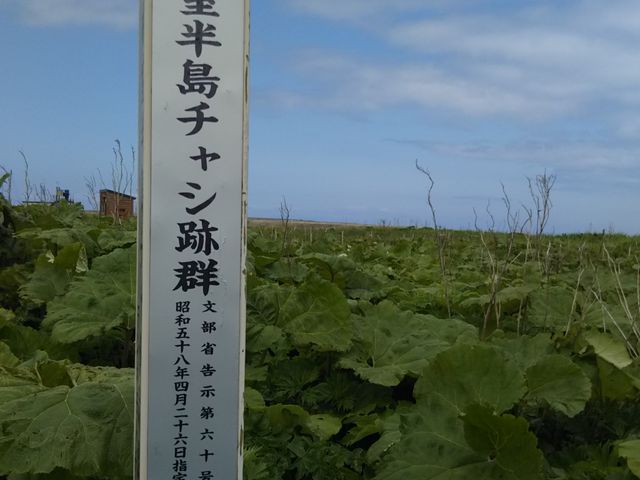 �K�i�o���Ă����́A���w��j�Օ\���B�ʐ^�B��ɂ����c_�����l���g�`���V��