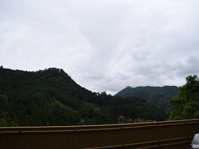 ����͎��R�������ς��B���̉��ɂ͐������Ă��܂��B_�������̓�