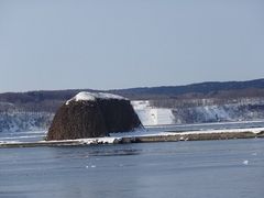 �L������̖X�q��ւ̓��e�ʐ^1