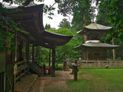 sklfh����̊�N���̓��e�ʐ^1