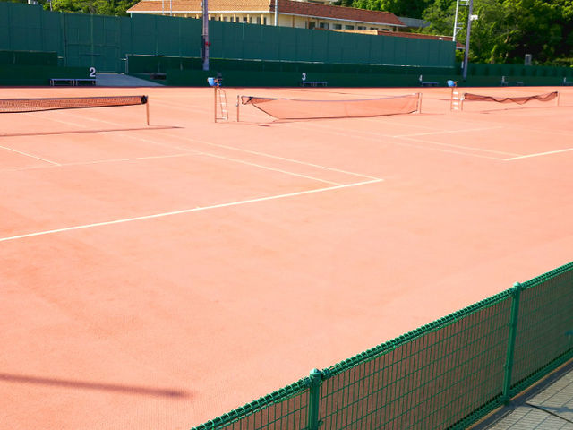 ���C����A�Y��Ȑl�H�N���C�R�[�g�ɂȂ��Ă��܂��B_���u��e�j�X�R�[�g