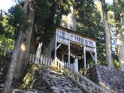 �Ђ��񂳂�̔��R�����_�Ж{�a�̓��e�ʐ^1