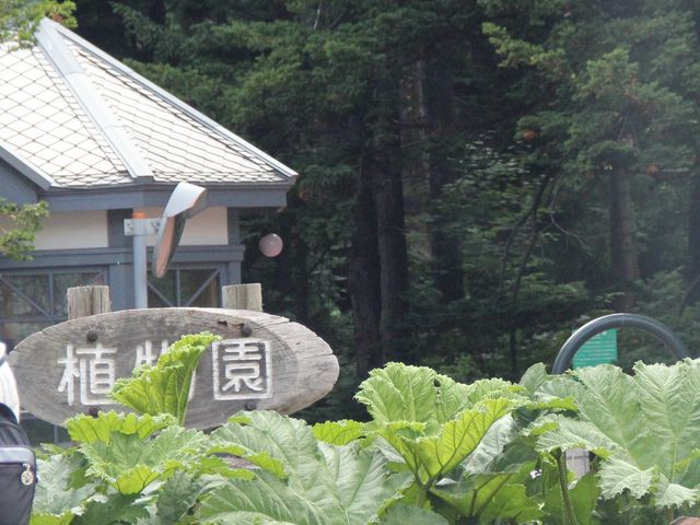 �k�C���Ȃ�ł͂̐A��_�k�C����w�A����