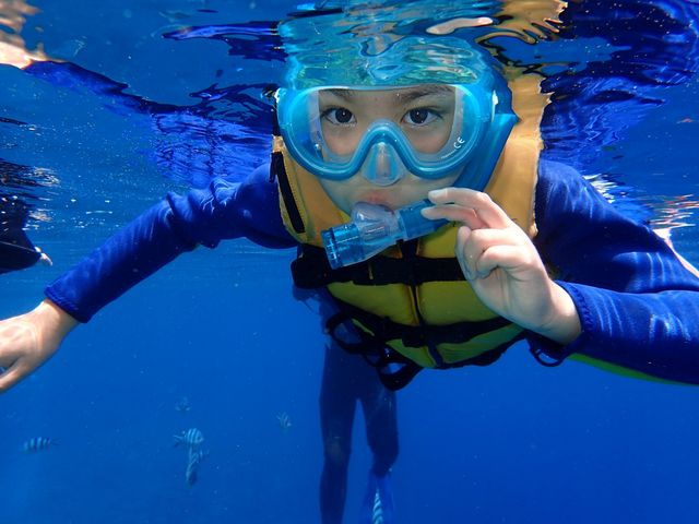 �V���m�[�P�����O�y��������_�V���m�[�P�����{�@�I�L�i��