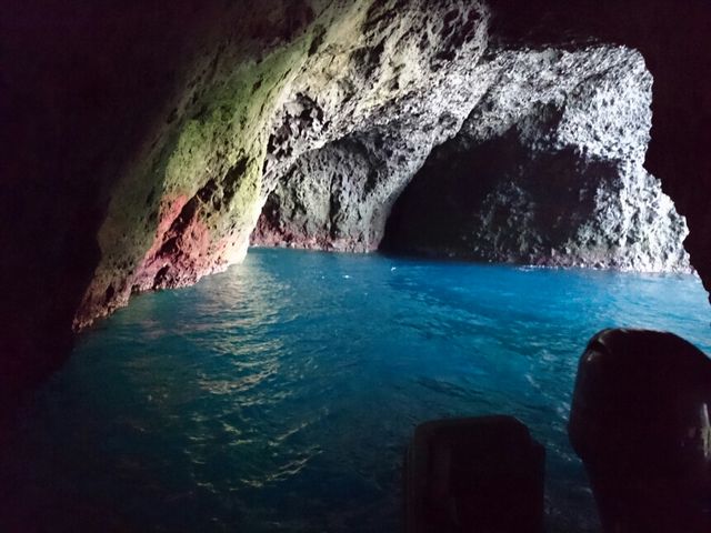 �̓��A_���M�̓��A�N���[�Y