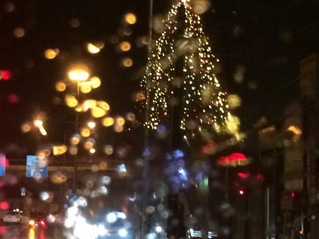 �N���X�}�X�O���猻��܂�_���̐쉷��