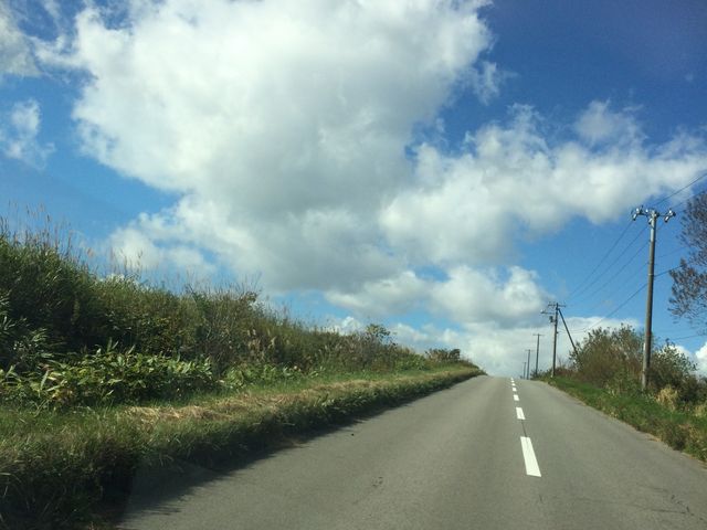 �k�C�����C���[�W���܂��񂩁H������ʂ̗���_���̐쉷��