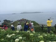 morimorĩXRg̓eʐ^1