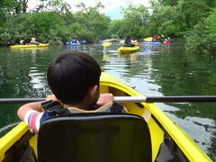 gg̃AEghAX|[cNu@obNXւ̓eʐ^1