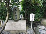 topology̍lqM˂̓eʐ^1