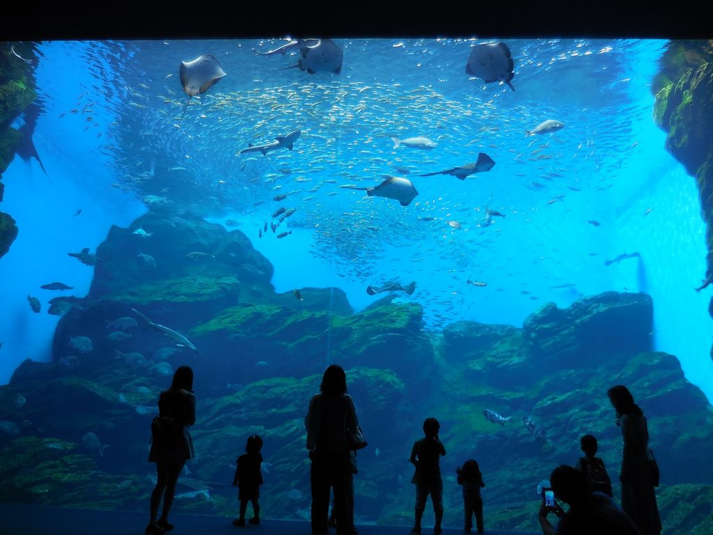 仙台うみの杜水族館