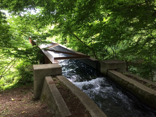 �R��������Ă�H�Y��ŗ₽����_�k���{�{�y�m��Ԑ_��