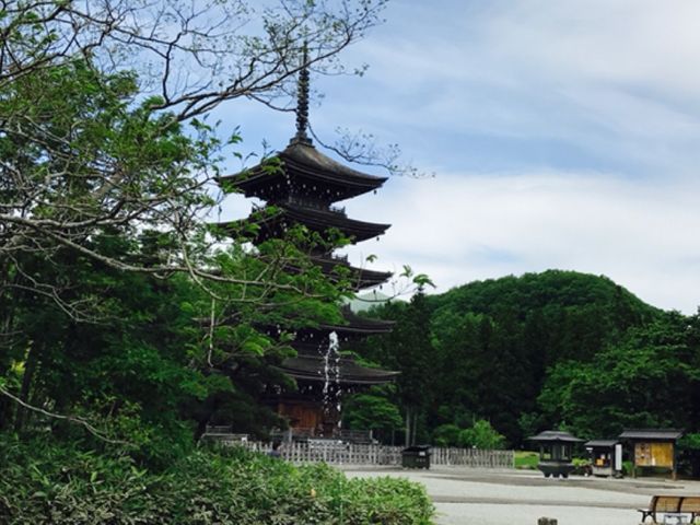 �i�F������_��`�@�� ������