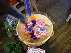 ZCR̃AgGEbL[؋قւ̓eʐ^1