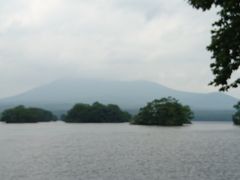 ܂[܂񂳂̑ւ̓eʐ^1