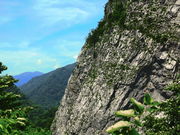 XsR̃qXCtBbVOp[N̓eʐ^2