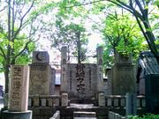 usa����̉��j�͎m��̓��e�ʐ^1