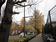 񂳂̓ʂ̃C`E؂̓eʐ^3