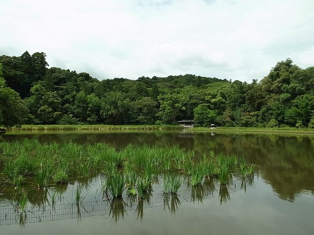 Ђł񂳂̊O{ʒr̓eʐ^1