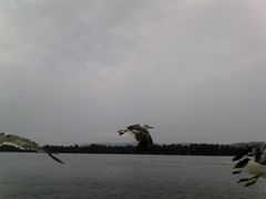 hocsai̒OCʊЂւ̓eʐ^1