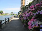 Otamâ[͂Ɓ[ԃAxj[ޖؒ̓eʐ^4