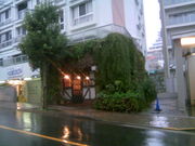 �ӂ������񂳂�̂ق��瓴 �������X�̓��e�ʐ^1